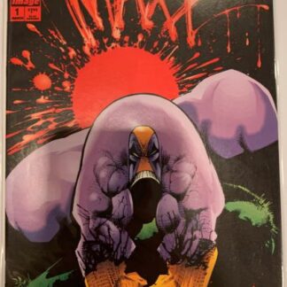 Image Comics The Maxx #1 Jan 1993
