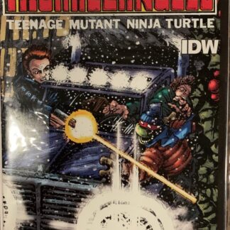 IDW Comics Teenage Mutant Ninja Turtles Michaelangelo #1 2012