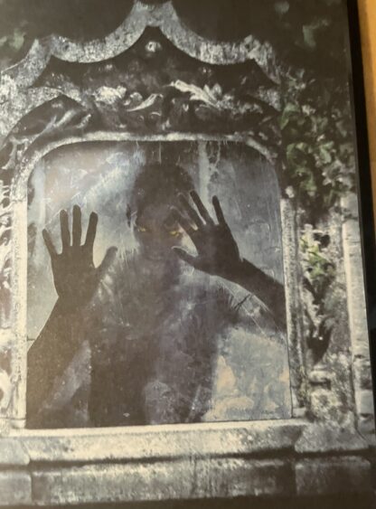 Shadow  House  You Can Run You Can’t Hide by Dan Poblocki (hardback) - Image 3