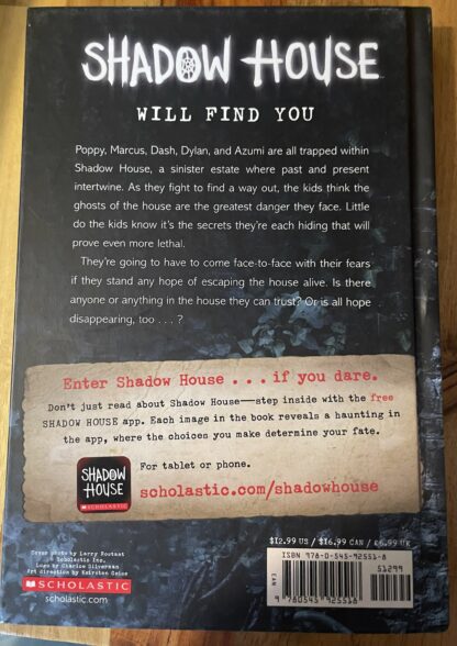 Shadow  House  You Can Run You Can’t Hide by Dan Poblocki (hardback) - Image 5